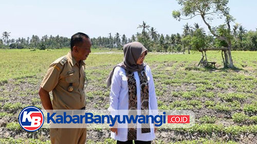 Banyuwangi Siapkan Satgas Antisipasi Kemarau Panjang Akibat Fenomena El Nino