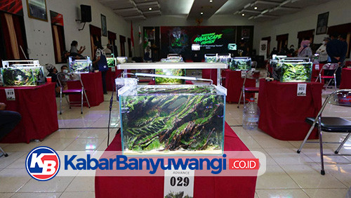 Puluhan Anak Muda se-Jawa Bali Adu Kreasi di Banyuwangi Aquascape Contest