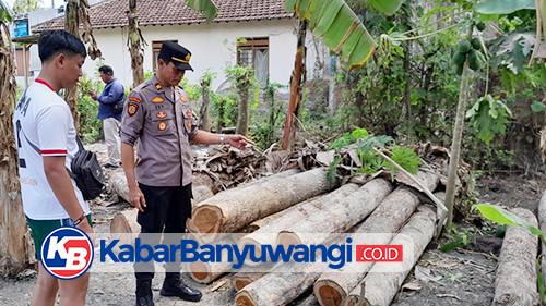 Polsek Purwoharjo Ungkap Kasus Ilegal Logging, Dua Pelaku Diamankan Beserta Barang Bukti