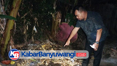 https://kabarbanyuwangi.co.id/asset/foto_berita/Bayi_dikubur.jpg