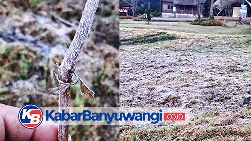 https://kabarbanyuwangi.co.id/asset/foto_berita/Bediding1.jpg