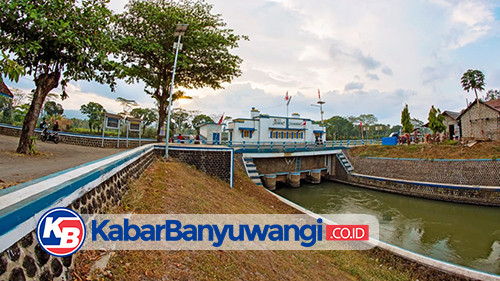 Bendung Karangdoro Mampu Mengairi 16 Ribu Hektar Sawah 8 Kecamatan di Banyuwangi
