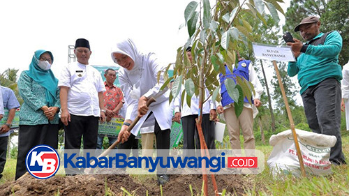 Konservasi Lereng Raung dan Ijen Terus Digalakkan, Pemkab Bagikan 32 Ribu Bibit Tanaman Keras 