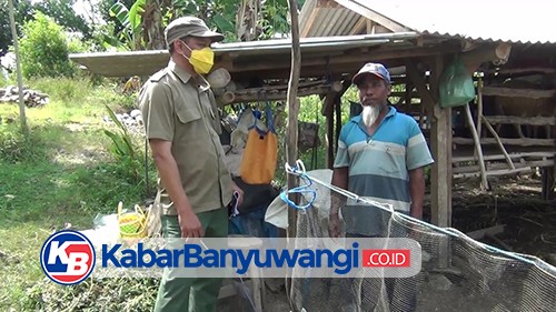 Kasus Kambing Mati Misterius di Tegaldlimo, BKSDA Pasang 4 Kamera Trap