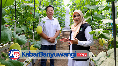 Program Bupati Ipuk Regenerasi Petani Berhasil, Banyak Anak Muda Banyuwangi Berkreasi di Pertanian