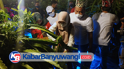 Pupuk Indonesia Dorong Generasi Milenial Berkarya di Sektor Pertanian