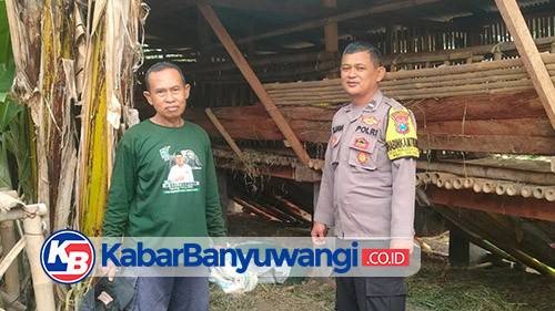 Program Ketahanan Pangan, Bhabinkamtibmas Polsek Srono Sambangi Kandang Kambing Warga