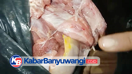 Diduga Simpan Daging Satwa Hasil Perburuan Liar, Pria di Banyuwangi Diringkus