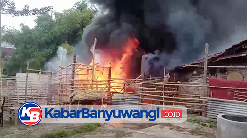 Akibat Bakar Sampah Sembarangan Hanguskan Dapur Rumah Warga Banyuwangi