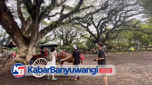 Libur Panjang Waisak, Banyuwangi Diserbu Puluhan Ribu Wisatawan dari Berbagai Penjuru Negeri