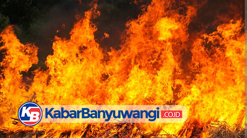 Ilalang di Lahan Sekitar Bandara Internasional Banyuwangi Semalam Terbakar