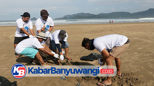 PT Bumi Suksesindo Gelar Beach Clean Up di Pantai Pulau Merah