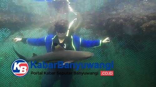 Pacu Adrenaline Berenang Bersama "Baby Shark" di Rumah Apung