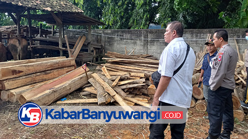 Polisi Amankan Terduga Pelaku Ilegal Logging, 36 Kayu Jati Disita