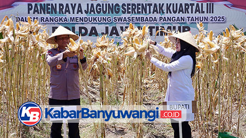 https://kabarbanyuwangi.co.id/asset/foto_berita/Ipuk_dan_Kapolda_panen_jagung.jpg