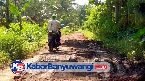 Warga Dua Desa di Banyuwangi Keluhkan Akses Jalan Rusak yang Tak Kunjung Diperbaiki