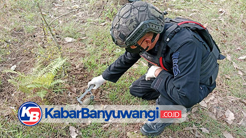 Granat Tangan di Tengah Kebun Karet Afdeling Glenmore Diamankan Polisi