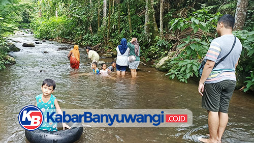 Liburan Seru dan Gratis di Kali Kedung Kampunganyar Banyuwangi, Tempat Wisata Alam Favorit Keluarga