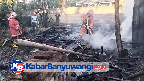 Kandang di Banyuwangi Ludes Terbakar, Enam Ekor Kambing Mati Terpanggang