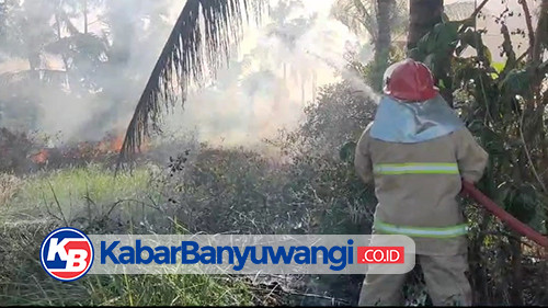 Diduga Bakar Sampah Sembarangan, Lahan Tanah Bengkok di Banyuwangi Ikut Terbakar