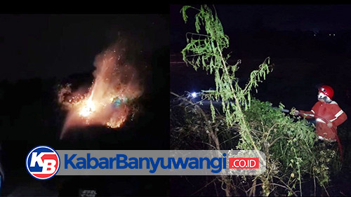 Lahan Wisata Talang Hills Banyuwangi Terbakar, Petugas Berjibaku Padamkan Api