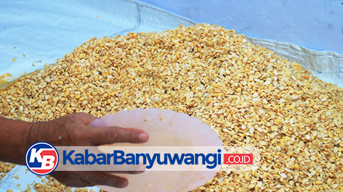 https://kabarbanyuwangi.co.id/asset/foto_berita/Kedelai.jpg