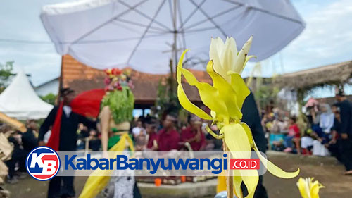 Menggali Filosofi Kembang Dermo, Simbol Leluhur Seblang Olehsari yang Diangkat Gandrung Sewu 2026