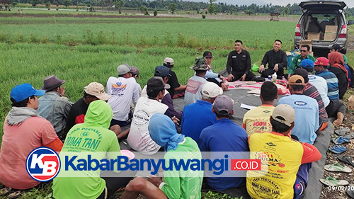 Kendalikan Inflasi, Banyuwangi Genjot Produksi Bawang Merah dan Cabai Rawit lewat Sekolah Lapang
