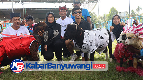 Ratusan Domba dan Kambing Peternak Jatim Ikut Kontes Perebutkan Piala Bupati Banyuwangi