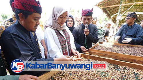 Hindari Praktik Curang, Banyuwangi Daftarkan Paten Indikasi Geografis Kopi Robusta