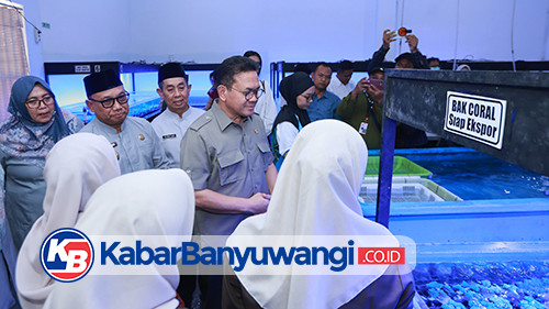 https://kabarbanyuwangi.co.id/asset/foto_berita/Koral_hias.jpg