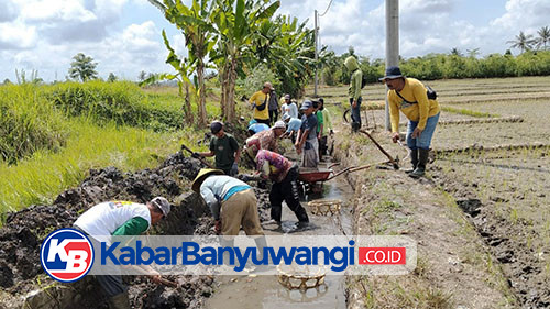 https://kabarbanyuwangi.co.id/asset/foto_berita/Korsda_Kec_Sempu.jpg