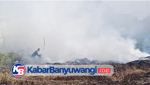 Bakar Sampah Rumput Sembarangan, Api Nyaris Menjalar ke Pemukiman di Banyuwangi