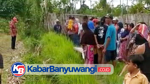 Mayat Pria Ditemukan Telungkup di Saluran Irigasi Sawah Kabat