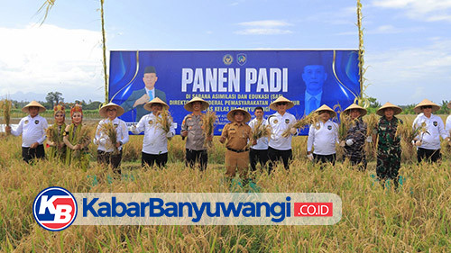 Lapas Banyuwangi Panen Raya di Lahan Sarana Asimilasi dan Edukasi Warga Binaan