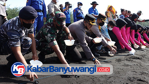 HUT Bhayangkara ke-76 Polresta Banyuwangi Lepas Tukik, Bentuk Konservasi Lingkungan