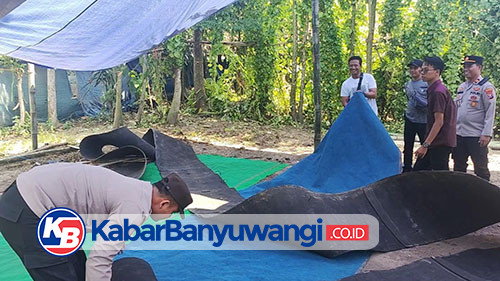 https://kabarbanyuwangi.co.id/asset/foto_berita/Lokasi_judi_ayam_dibongkar.jpg