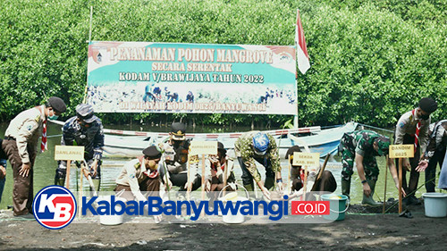 Cegah Abrasi, Kodim Banyuwangi Tanam 750 Mangrove di Pantai Syariah