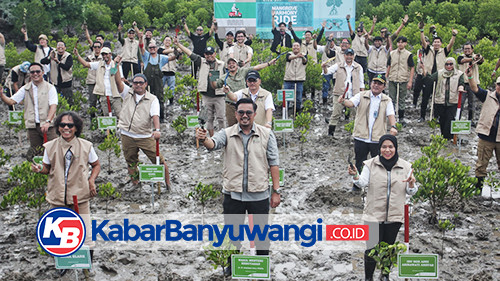https://kabarbanyuwangi.co.id/asset/foto_berita/Mangrove_TN_Alas_Purwo_1.jpg