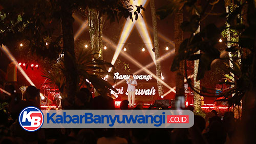 Eksotisme Musik Tepi Sawah Banyuwangi, Cara Menikmati Ijen dengan Suasana Berbeda