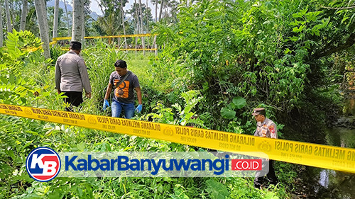 Timsus Selidiki Tewasnya Bocah Gadis 7 Tahun di Banyuwangi, Hotman Paris Turun Tangan