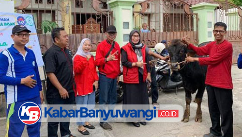https://kabarbanyuwangi.co.id/asset/foto_berita/PDIP_kurban_sapi.jpg
