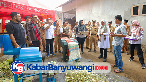 Peternak Banyuwangi Dilatih Buat Pakan Fermentasi, Tahan Lama dan Hilangkan Bau