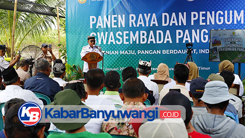 https://kabarbanyuwangi.co.id/asset/foto_berita/Panen_raya.jpg