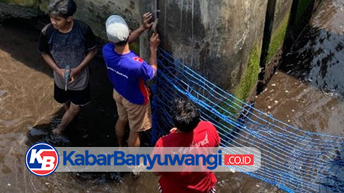 https://kabarbanyuwangi.co.id/asset/foto_berita/Pasang_jaring.jpg