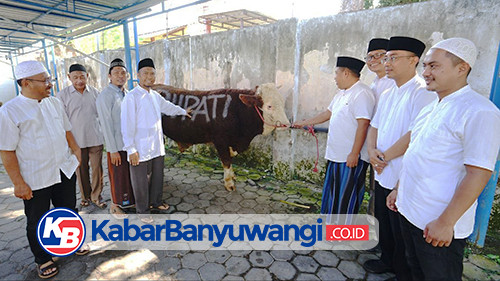 Pemkab Banyuwangi Salurkan 60 Hewan Kurban, Bupati Ipuk: Semoga Berkah