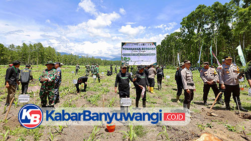Ikhtiar Bersama Cegah Bencana Hidrometeorologi, Banyuwangi Tanam Ratusan Ribu Pohon 