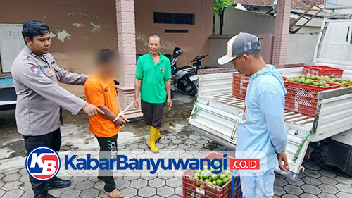 Ketahuan Curi Jeruk, Pria di Banyuwangi Diamankan Warga dan Diserahkan ke Polisi