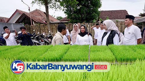 Dukung Swasembada Pangan, Banyuwangi Libatkan Anak Muda dalam Penerapan Alsintan Pertanian