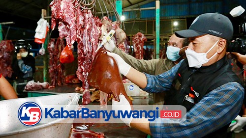 Permintaan Daging Jelang Lebaran Meningkat, Satu RPH Bisa Sembelih 30 Ekor Sapi